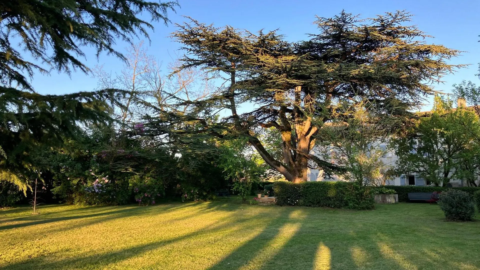 Domaine De La Bordasse Villematier Villa