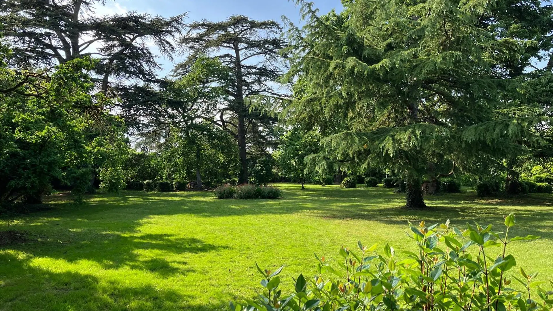 Domaine De La Bordasse Villematier